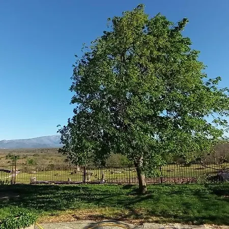 Bodega Ca'tio Celso *