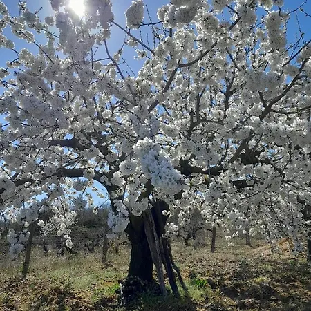 Apartmán Bodega Ca'tio Celso San Esteban de la Sierra